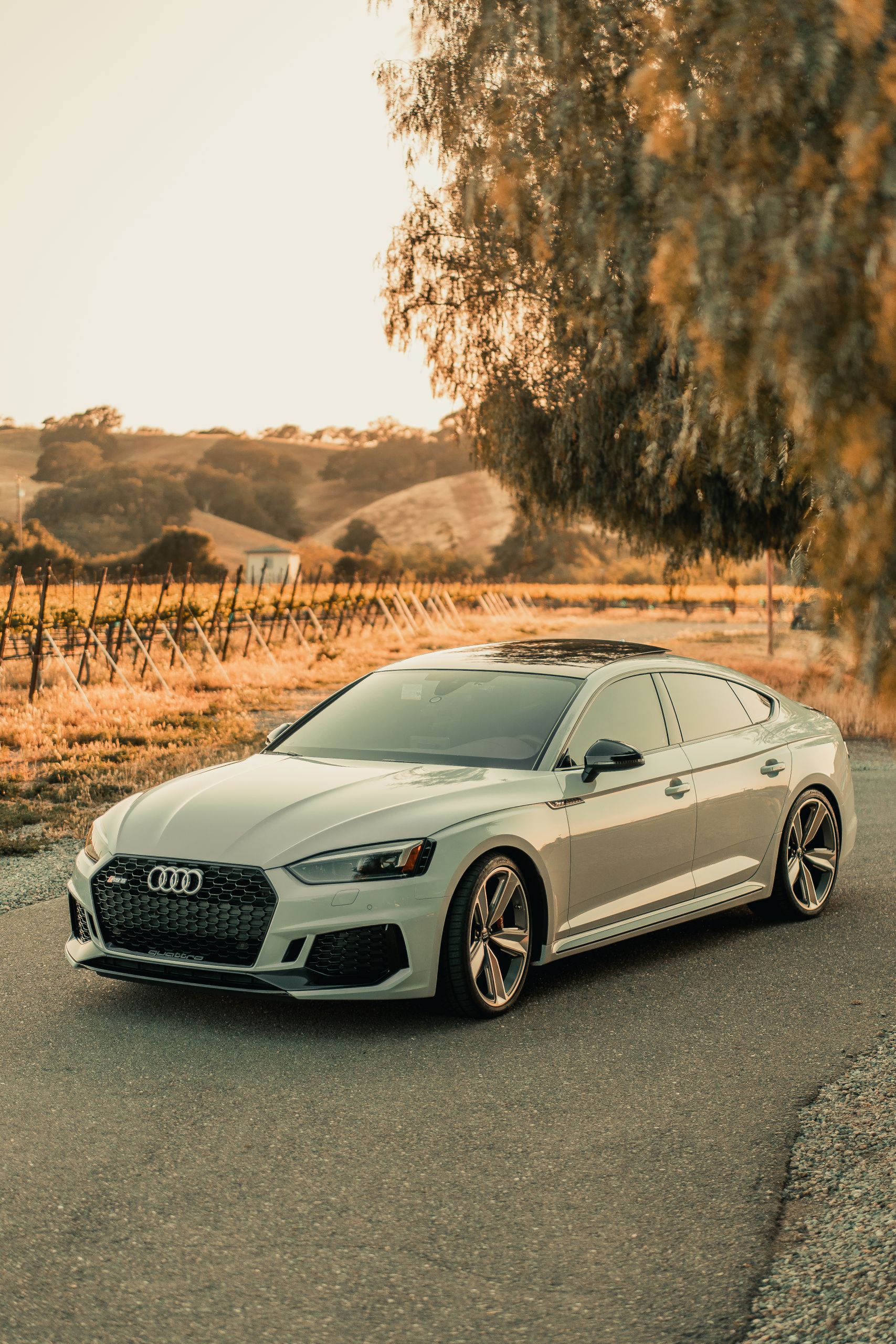 Elegant Audi sedan parked on a rural road, capturing the essence of luxury driving amidst a serene landscape at sunset.
